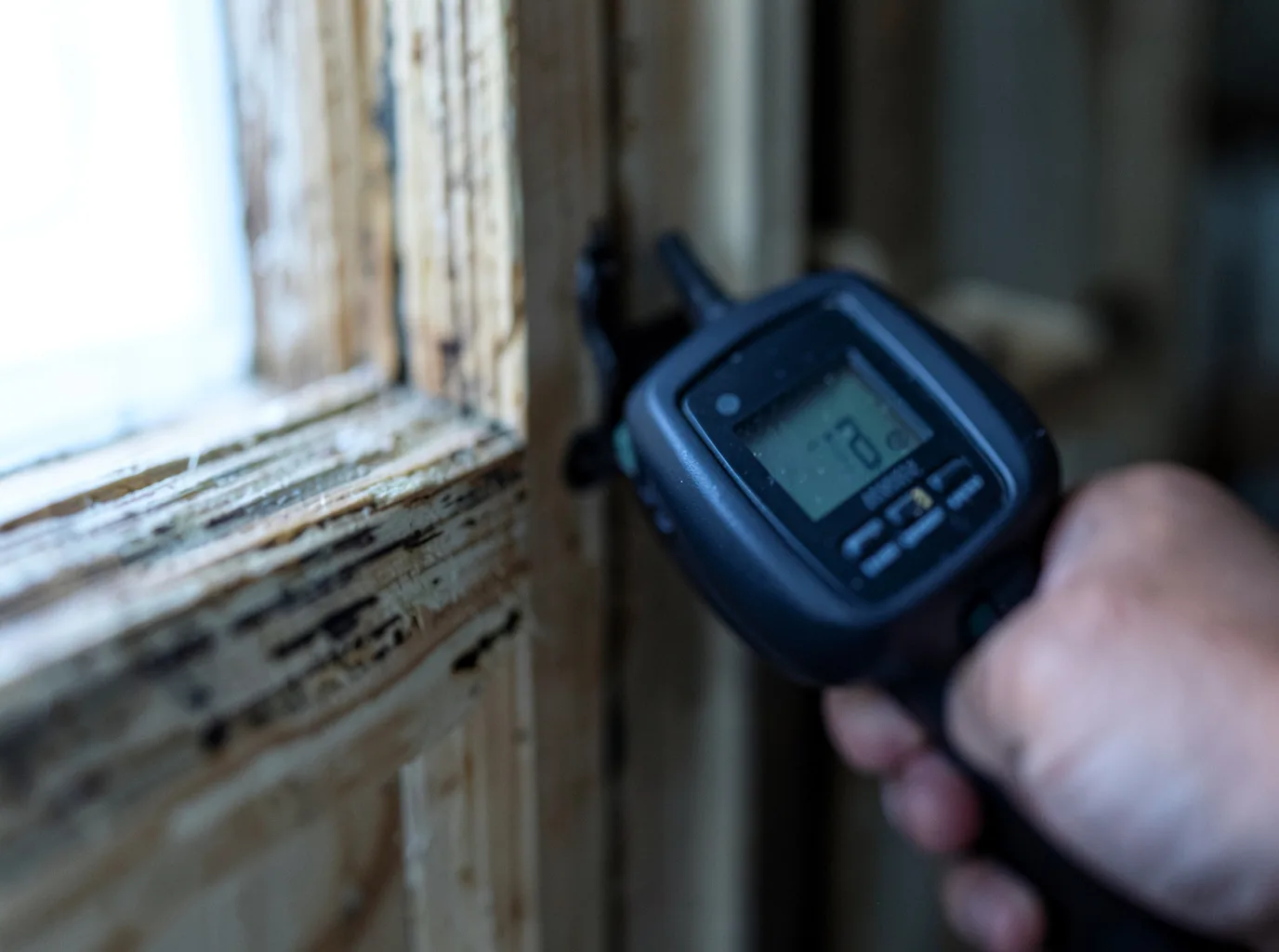 Moisture Inspection And Documentation in Bruin, PA